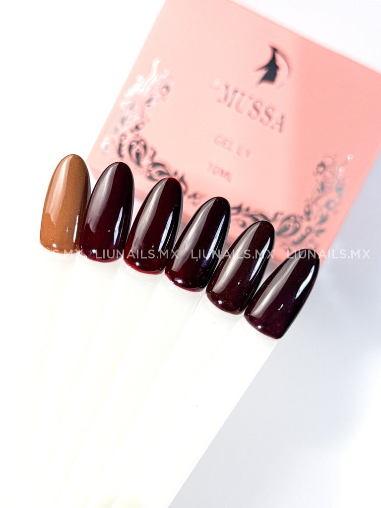 Gama G - 6 colores LeMussa Colores