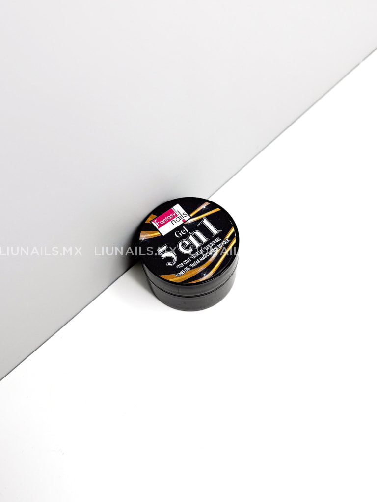 Gel 5 en 1 FANTASY NAILS Gel