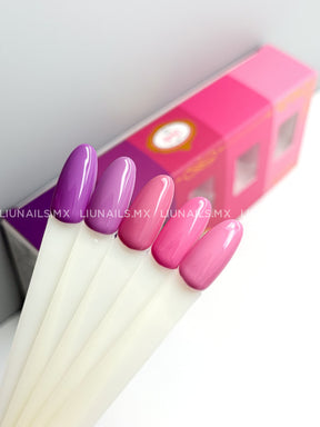 Gama de 5 colores #20 LOVELY Colores
